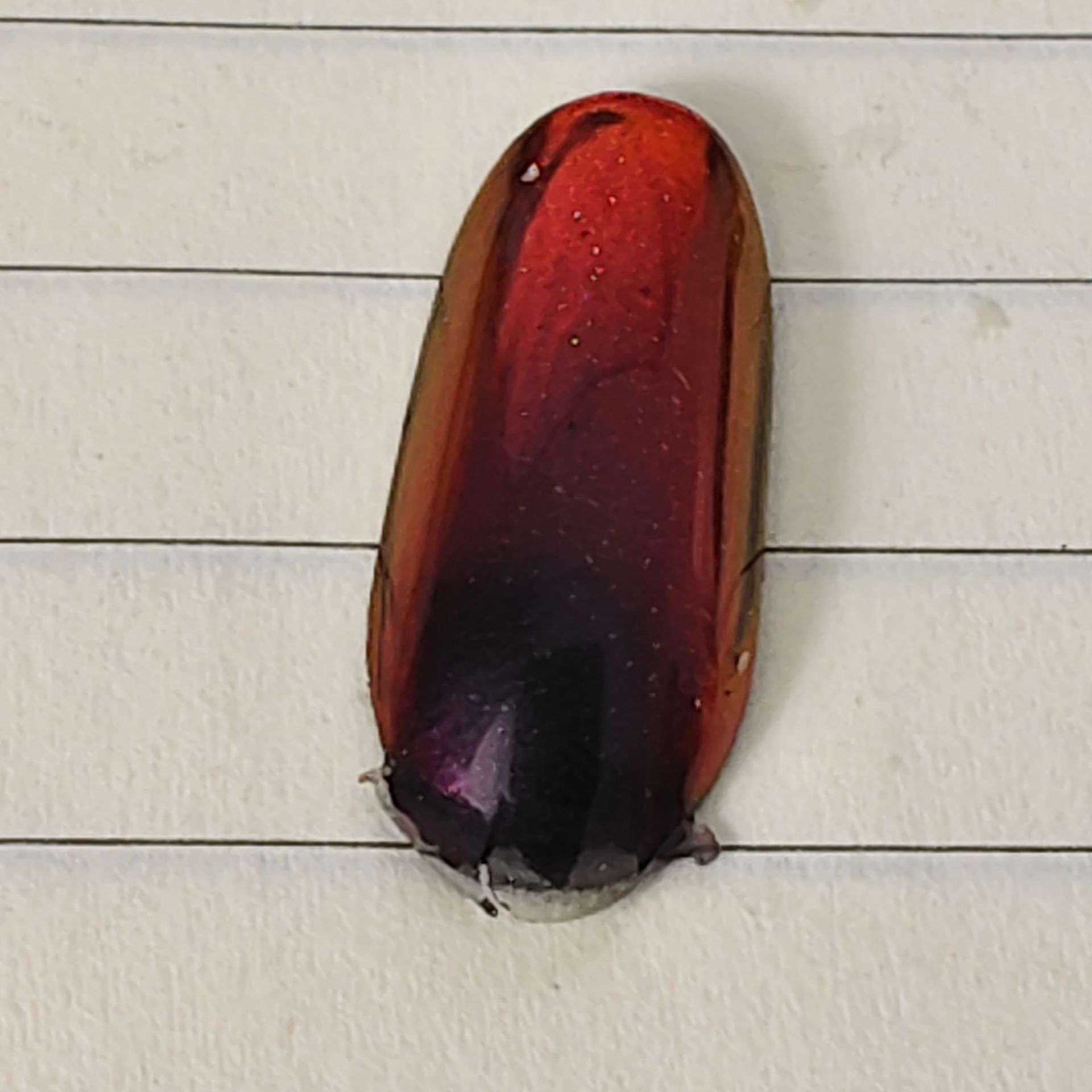 Grensoverschrijdende groothand - Nail Art Red recensie en prijs